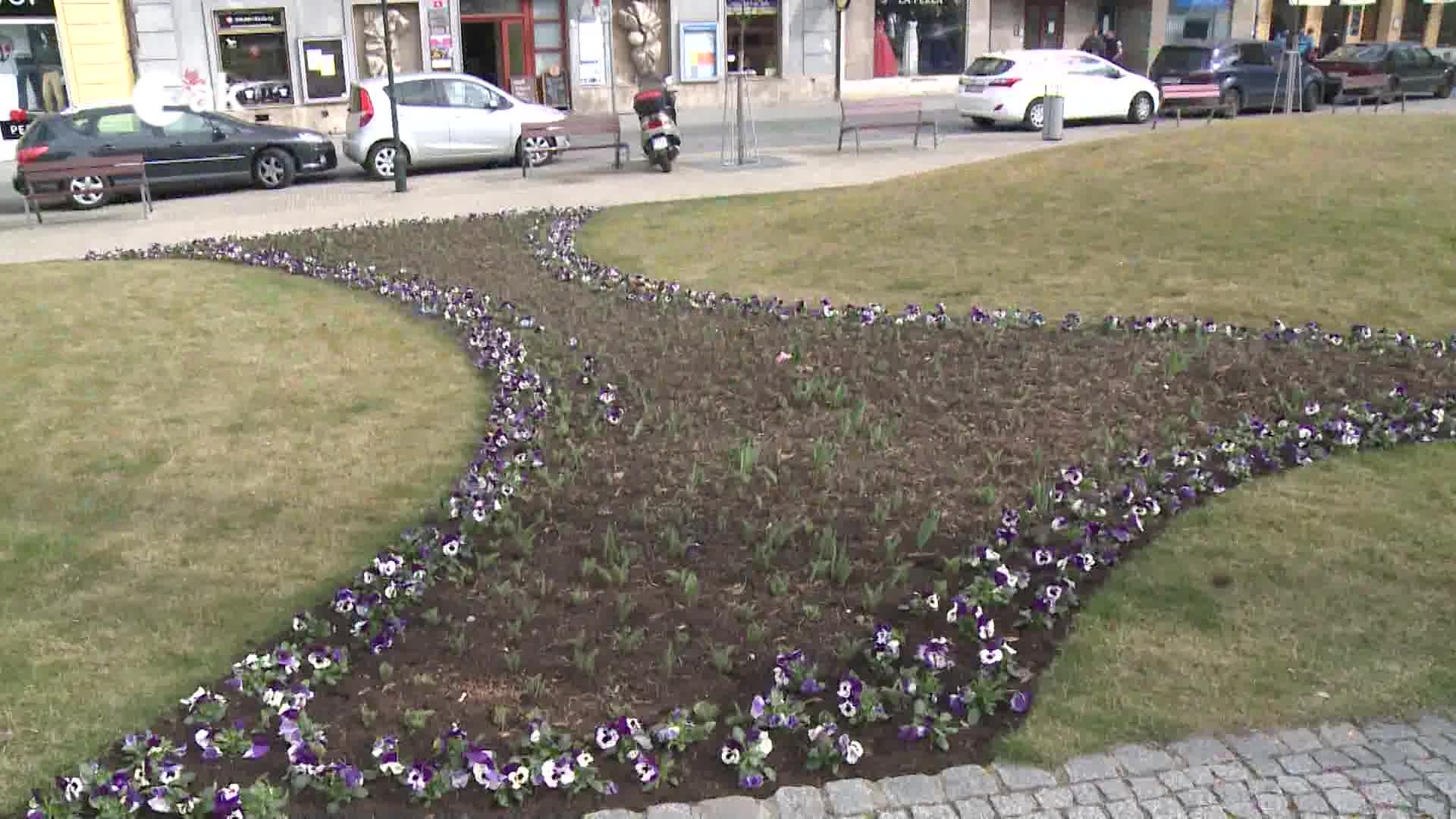 Plzeň v kostce