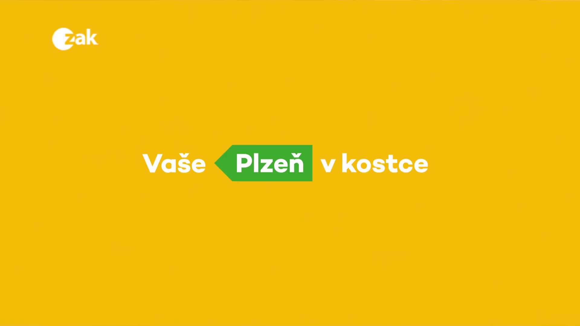 Plzeň v kostce